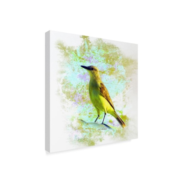 Ata Alishahi 'Bird Collection 22' Canvas Art,14x14